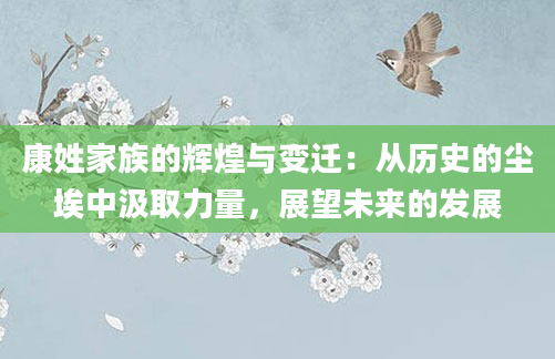 康姓家族的辉煌与变迁：从历史的尘埃中汲取力量，展望未来的发展