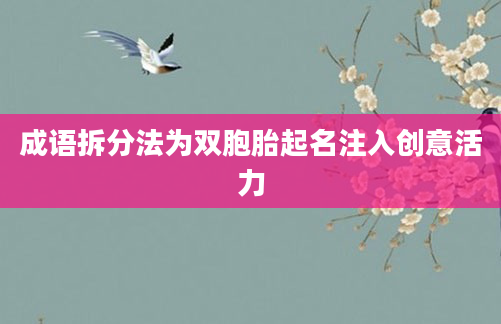 成语拆分法为双胞胎起名注入创意活力