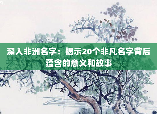 深入非洲名字：揭示20个非凡名字背后蕴含的意义和故事