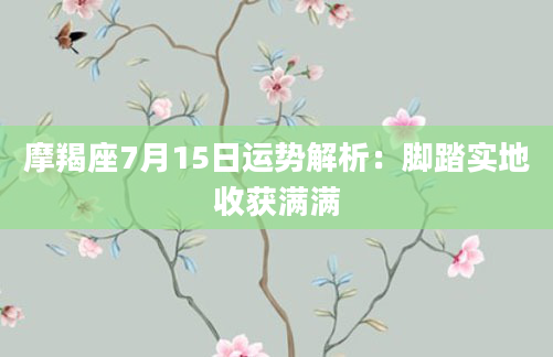 摩羯座7月15日运势解析：脚踏实地收获满满