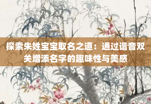 探索朱姓宝宝取名之道：通过谐音双关增添名字的趣味性与美感