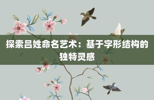 探索吕姓命名艺术：基于字形结构的独特灵感