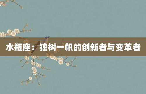水瓶座：独树一帜的创新者与变革者