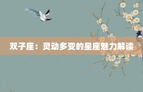 双子座：灵动多变的星座魅力解读