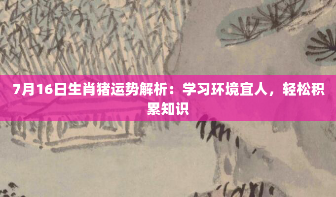 7月16日生肖猪运势解析：学习环境宜人，轻松积累知识