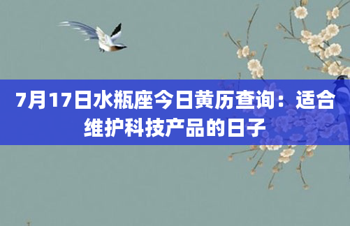 7月17日水瓶座今日黄历查询：适合维护科技产品的日子