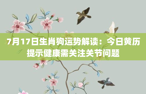7月17日生肖狗运势解读：今日黄历提示健康需关注关节问题