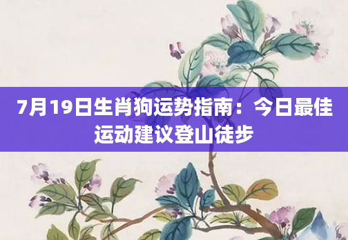 7月19日生肖狗运势指南：今日最佳运动建议登山徒步