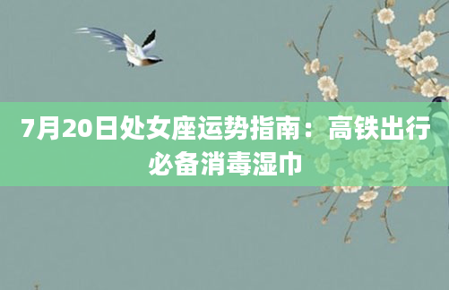 7月20日处女座运势指南：高铁出行必备消毒湿巾