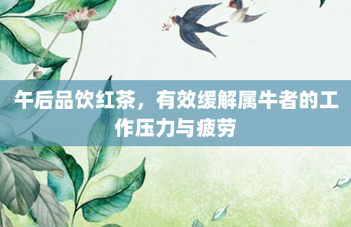 午后品饮红茶，有效缓解属牛者的工作压力与疲劳