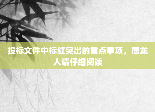 投标文件中标红突出的重点事项，属龙人请仔细阅读