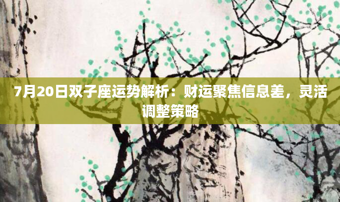 7月20日双子座运势解析：财运聚焦信息差，灵活调整策略