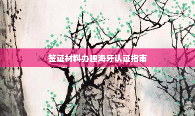 签证材料办理海牙认证指南
