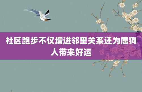 社区跑步不仅增进邻里关系还为属狗人带来好运