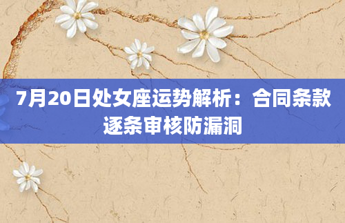 7月20日处女座运势解析：合同条款逐条审核防漏洞