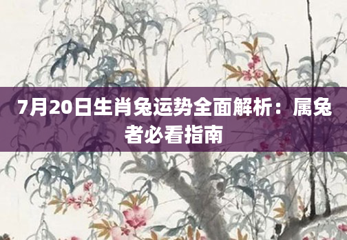 7月20日生肖兔运势全面解析：属兔者必看指南