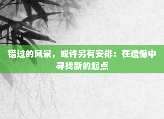 错过的风景，或许另有安排：在遗憾中寻找新的起点