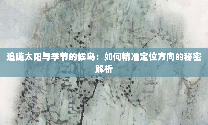 追随太阳与季节的候鸟：如何精准定位方向的秘密解析