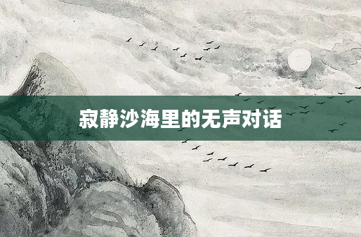 寂静沙海里的无声对话