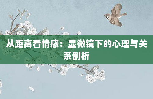 从距离看情感：显微镜下的心理与关系剖析