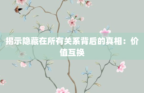 揭示隐藏在所有关系背后的真相：价值互换