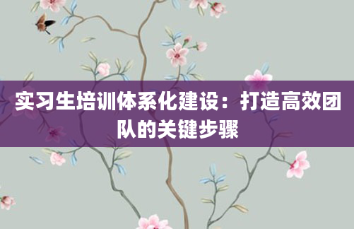 实习生培训体系化建设：打造高效团队的关键步骤