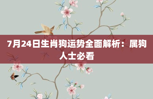 7月24日生肖狗运势全面解析：属狗人士必看