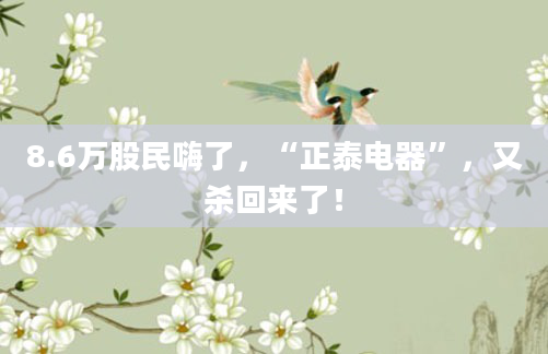 8.6万股民嗨了,“正泰电器”,又杀回来了!