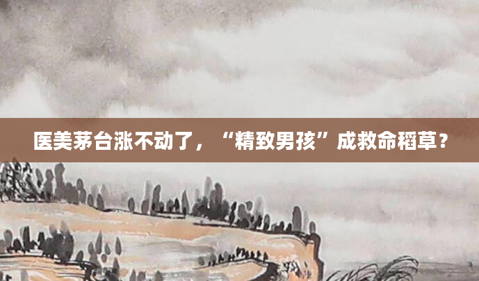 医美茅台涨不动了,“精致男孩”成救命稻草?