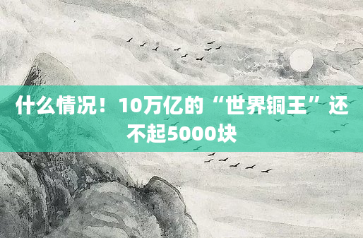什么情况!10万亿的“世界铜王”还不起5000块