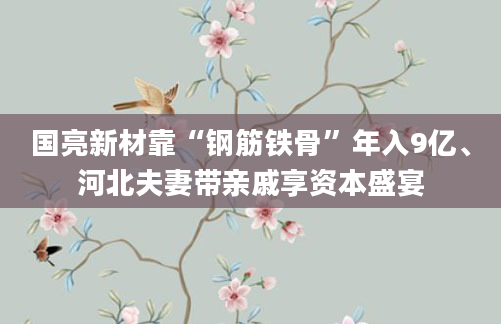 国亮新材靠“钢筋铁骨”年入9亿、河北夫妻带亲戚享资本盛宴