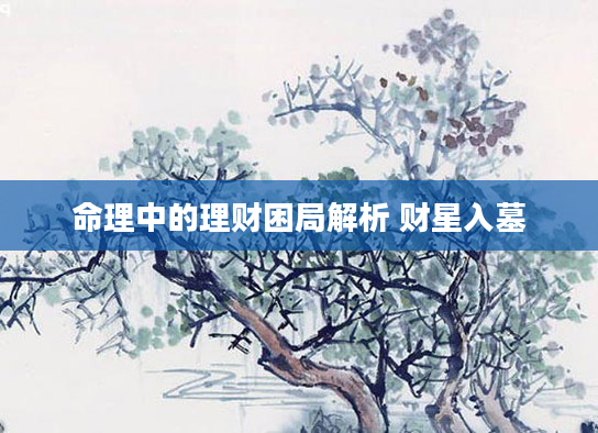 命理中的理财困局解析 财星入墓
