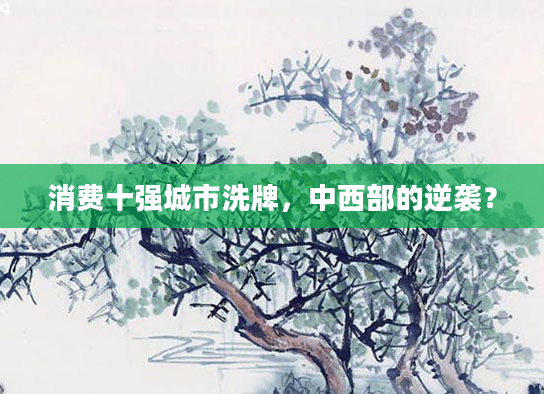 消费十强城市洗牌,中西部的逆袭?