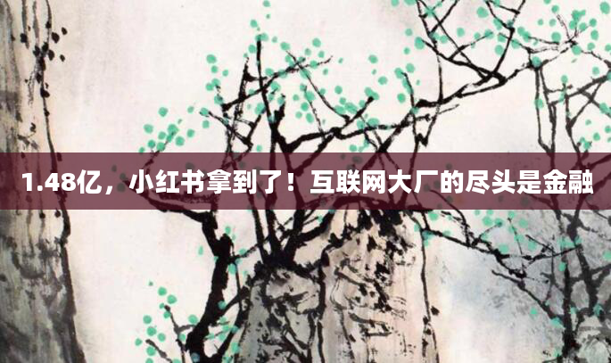 1.48亿,小红书拿到了!互联网大厂的尽头是金融