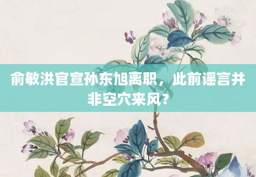 俞敏洪官宣孙东旭离职,此前谣言并非空穴来风?