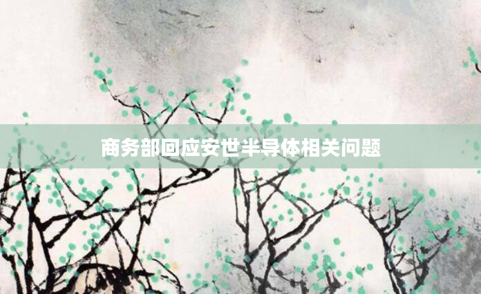 商务部回应安世半导体相关问题