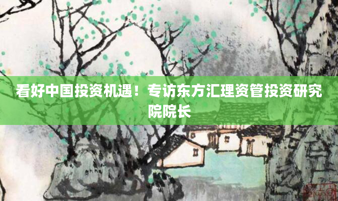 看好中国投资机遇!专访东方汇理资管投资研究院院长