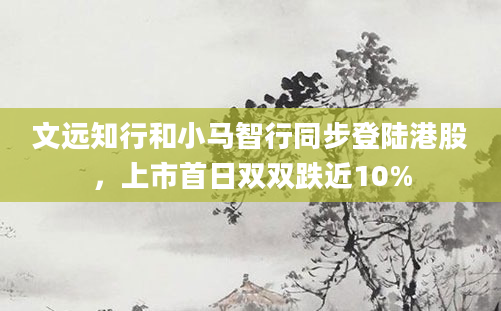 文远知行和小马智行同步登陆港股,上市首日双双跌近10%