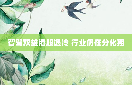 智驾双雄港股遇冷 行业仍在分化期