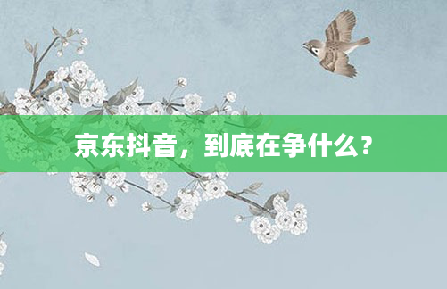 京东抖音,到底在争什么?