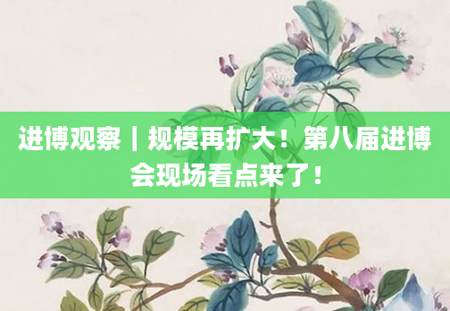 进博观察|规模再扩大!第八届进博会现场看点来了!