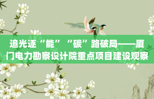 追光逐“能”“碳”路破局——厦门电力勘察设计院重点项目建设观察