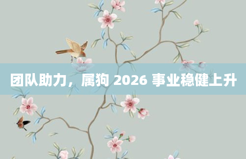 团队助力,属狗 2026 事业稳健上升
