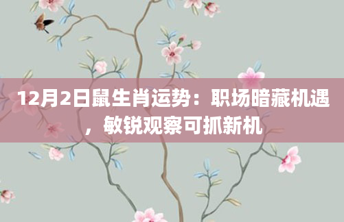 12月2日鼠生肖运势:职场暗藏机遇,敏锐观察可抓新机