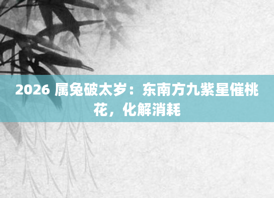2026 属兔破太岁:东南方九紫星催桃花,化解消耗