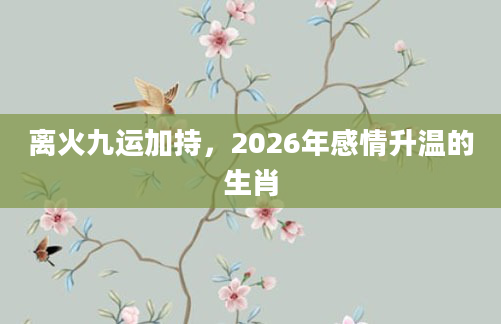 离火九运加持,2026年感情升温的生肖