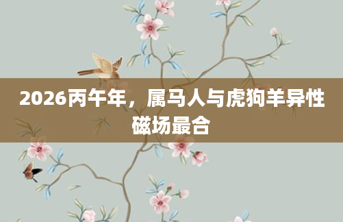 2026丙午年,属马人与虎狗羊异性磁场最合