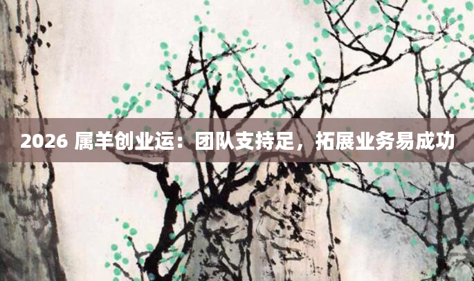 2026 属羊创业运:团队支持足,拓展业务易成功