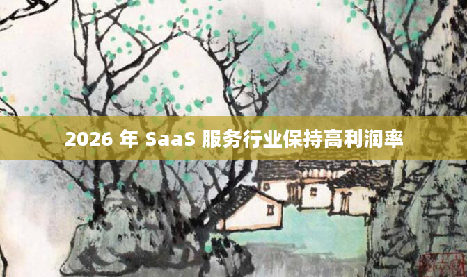 2026 年 SaaS 服务行业保持高利润率