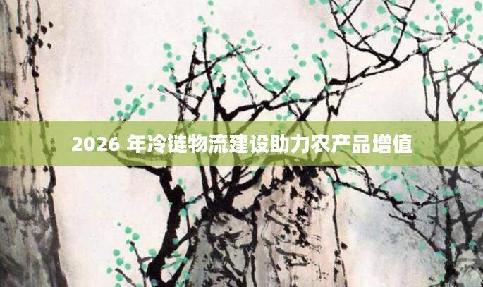 2026 年冷链物流建设助力农产品增值